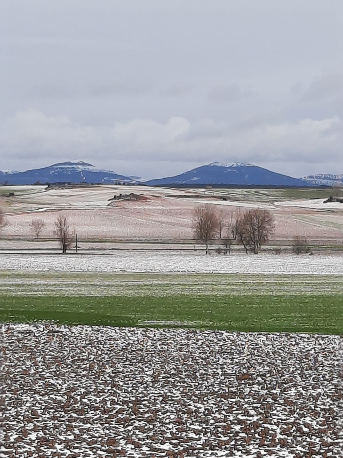 campos 